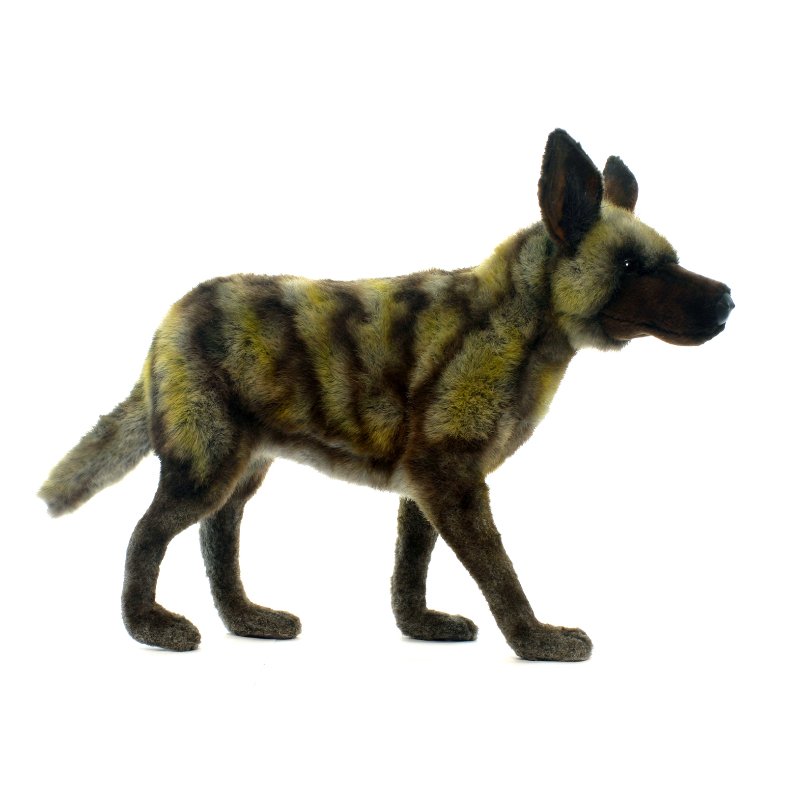 wild dog plush