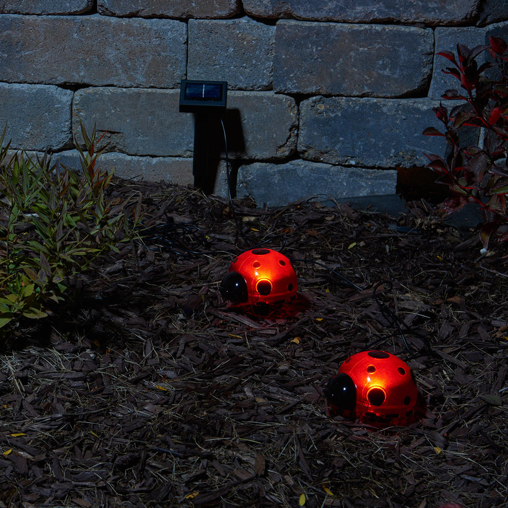 Smart Solar Ladybugs 4 Piece Set