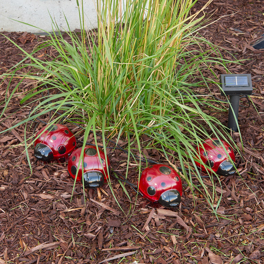 Smart Solar Ladybugs 4 Piece Set