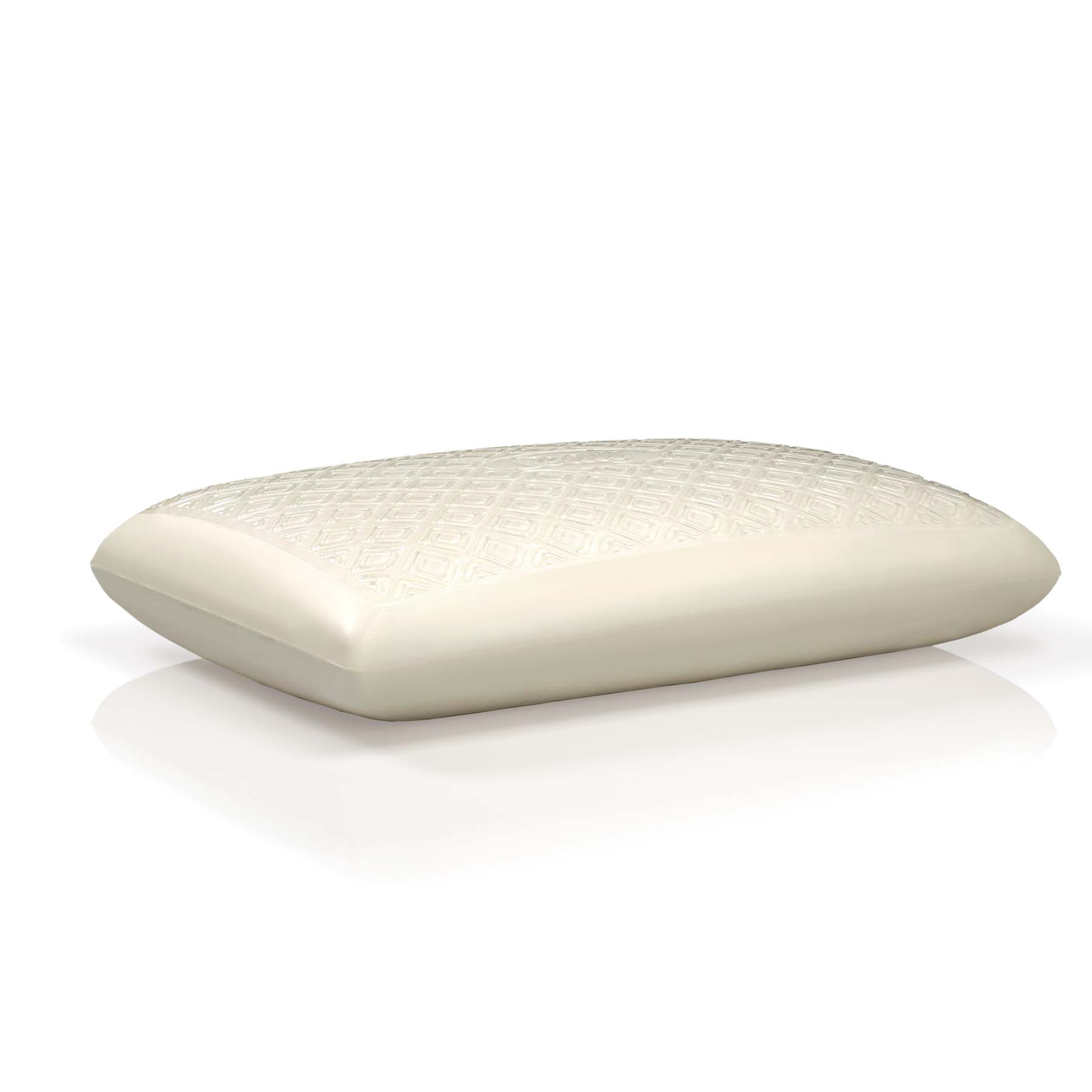 sears foam pillows
