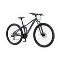 Ironhorse mountain bike discount 29