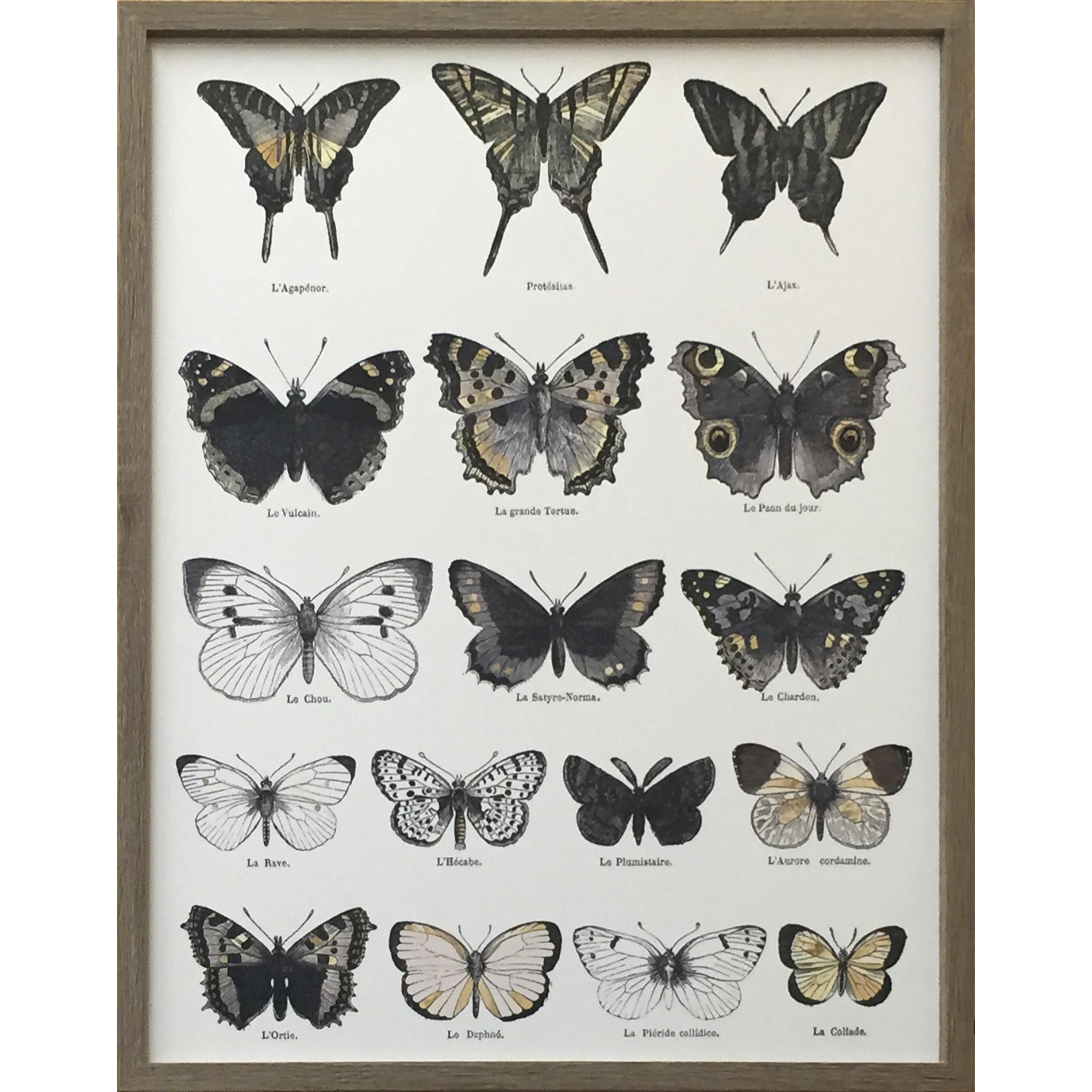 Butterfly Wall Art - 16&#8221; x 20&#8221;
