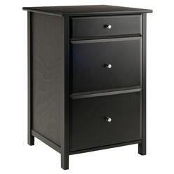 Winsome Wood Delta Home Office File Cabinet, Black