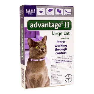 Advantage 2 for cats coupons clearance