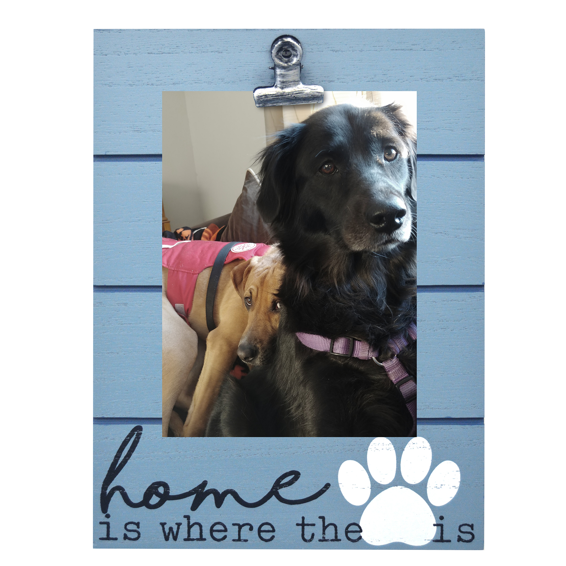 4&#8221; x 6&#8221; Dog Clip Frame - Home Is Where The Paw Is