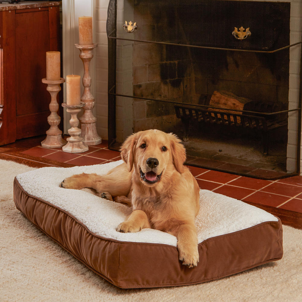 Happy Hounds Buster Dog Bed Extra Small (18 x 24") Latte/Sherpa