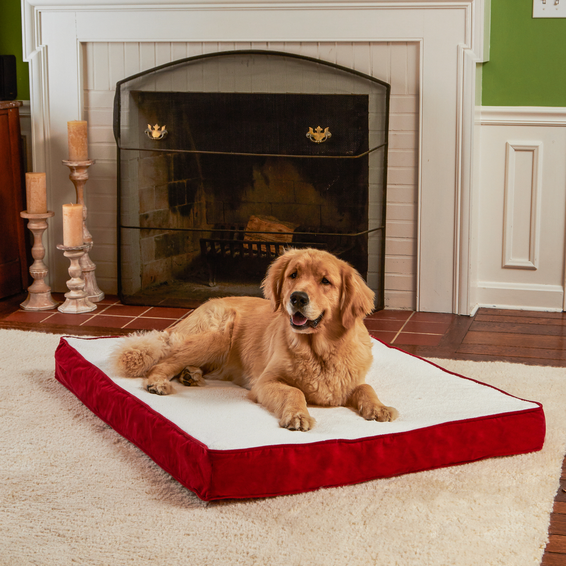 Carpenter Orthopedic Pet Bed