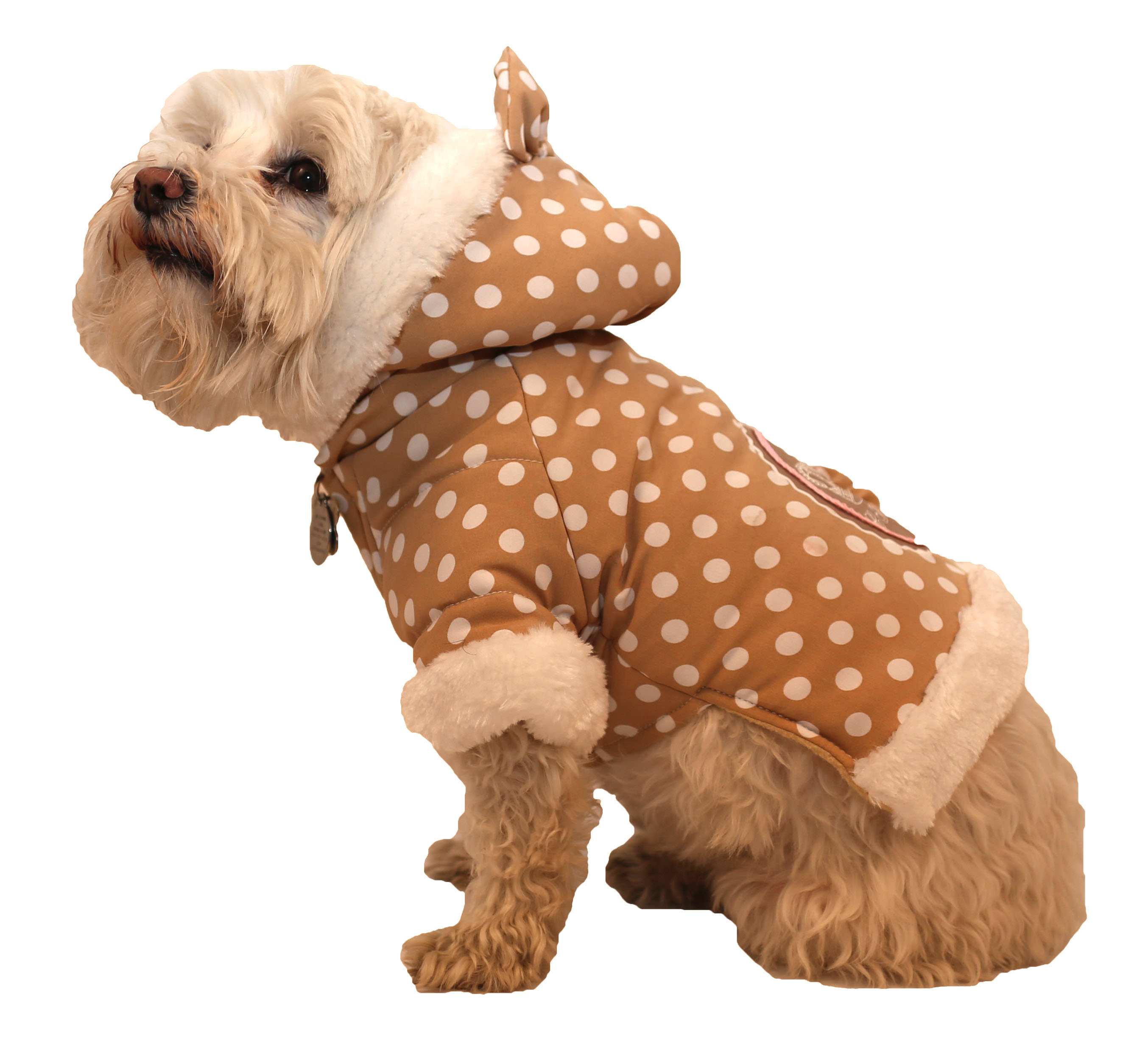 Polka-Dot Couture-Bow Pet Hoodie Sweater, Size: XS, Brown Polka Polka-Dot Couture-Bow Pet Hoodie Sweater, Size: XS, Brown Polka
