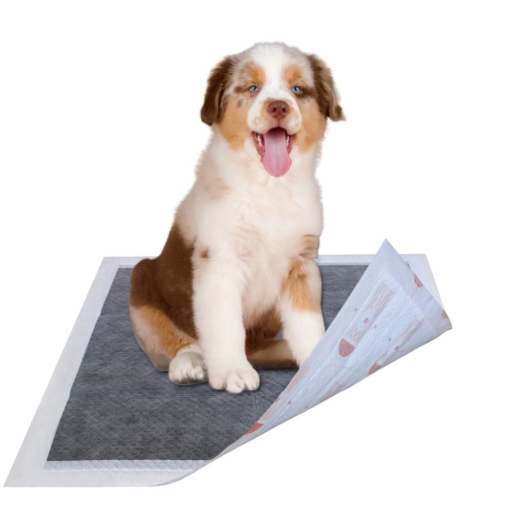 55 Grams Ultra Absorbent Odor Eliminating Anti-Skid Anti-Bacterial Diabetic Premium Dog Training Pads