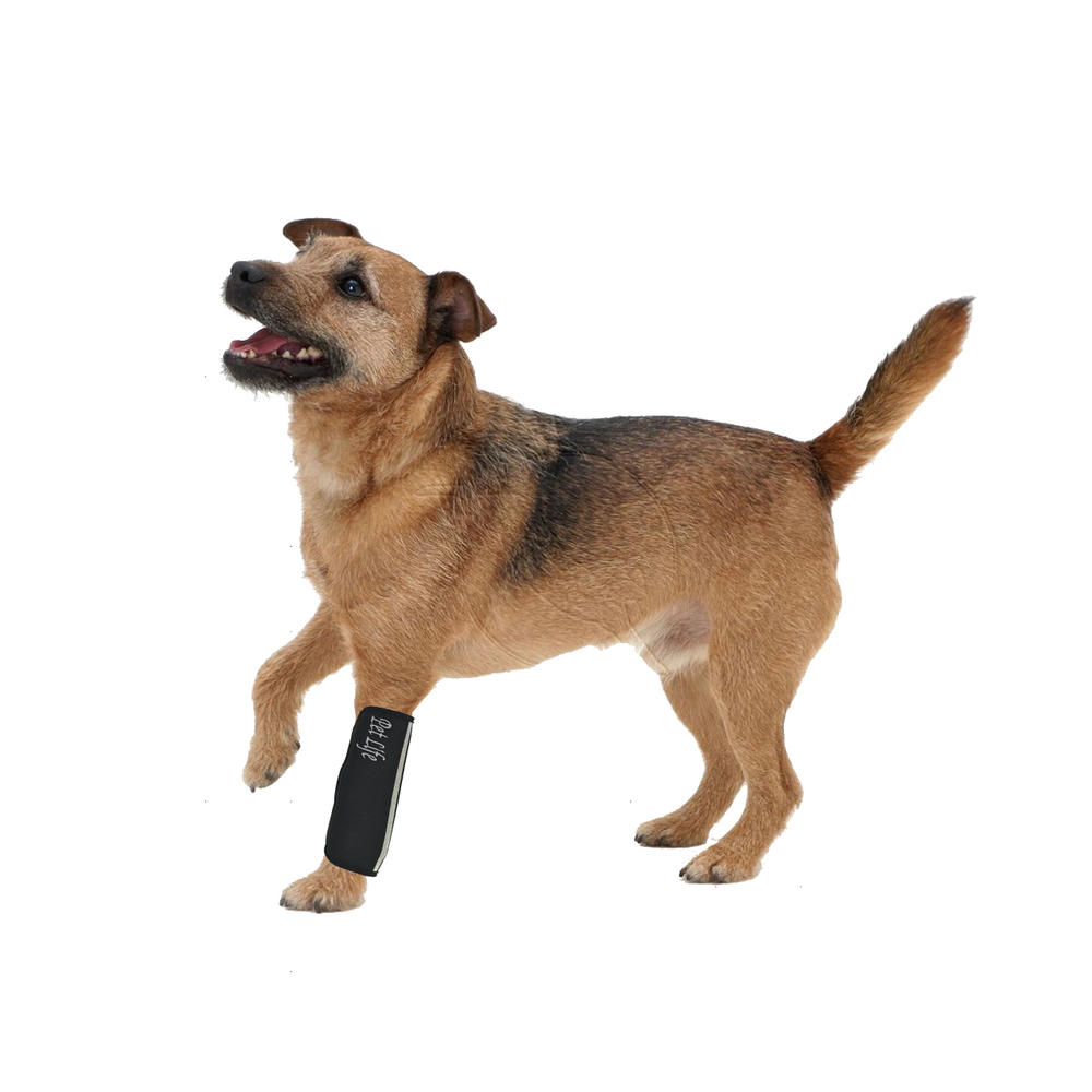 Extreme-Neoprene Joint Protective Reflective Pet Sleeves