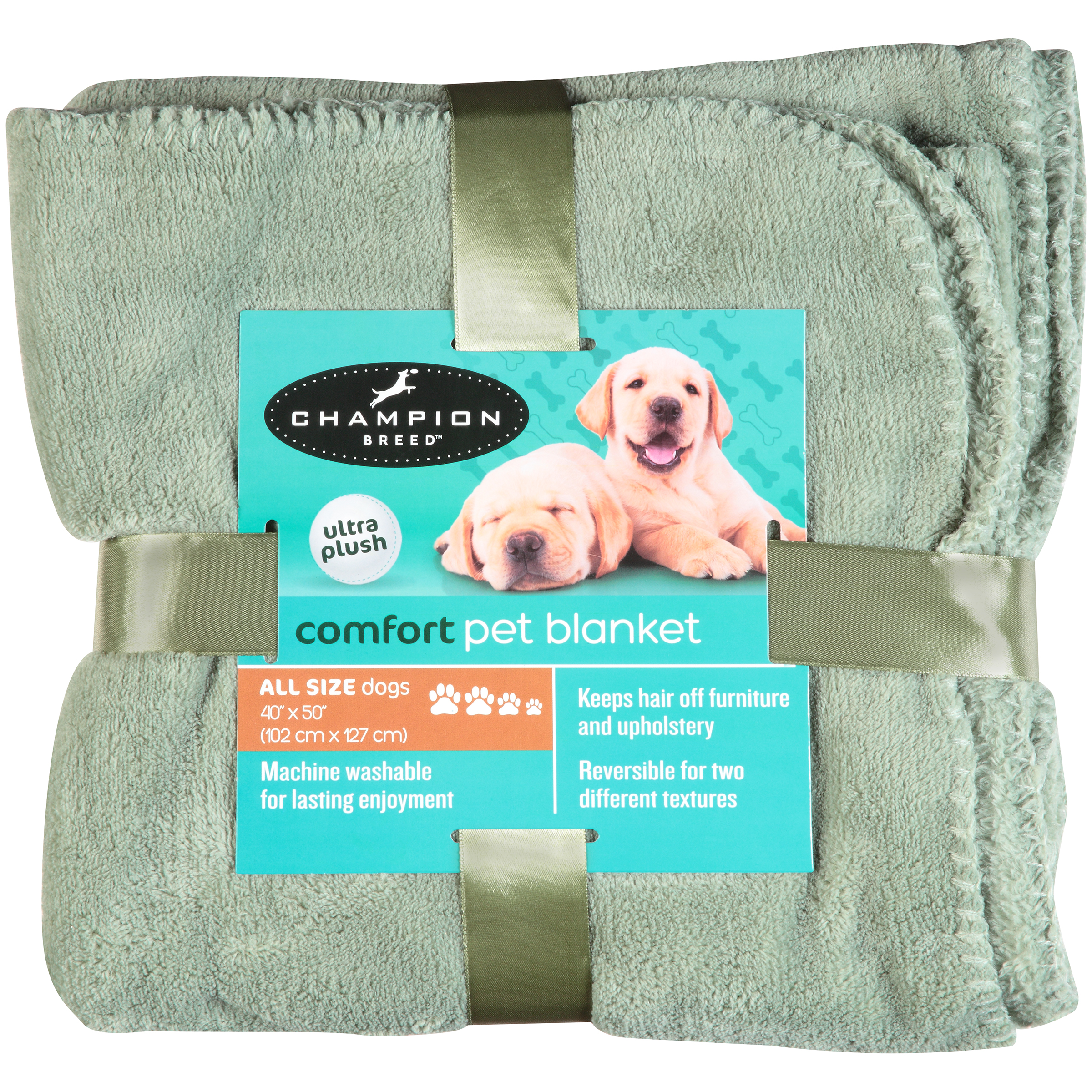 Champion Breed Beds Kmart