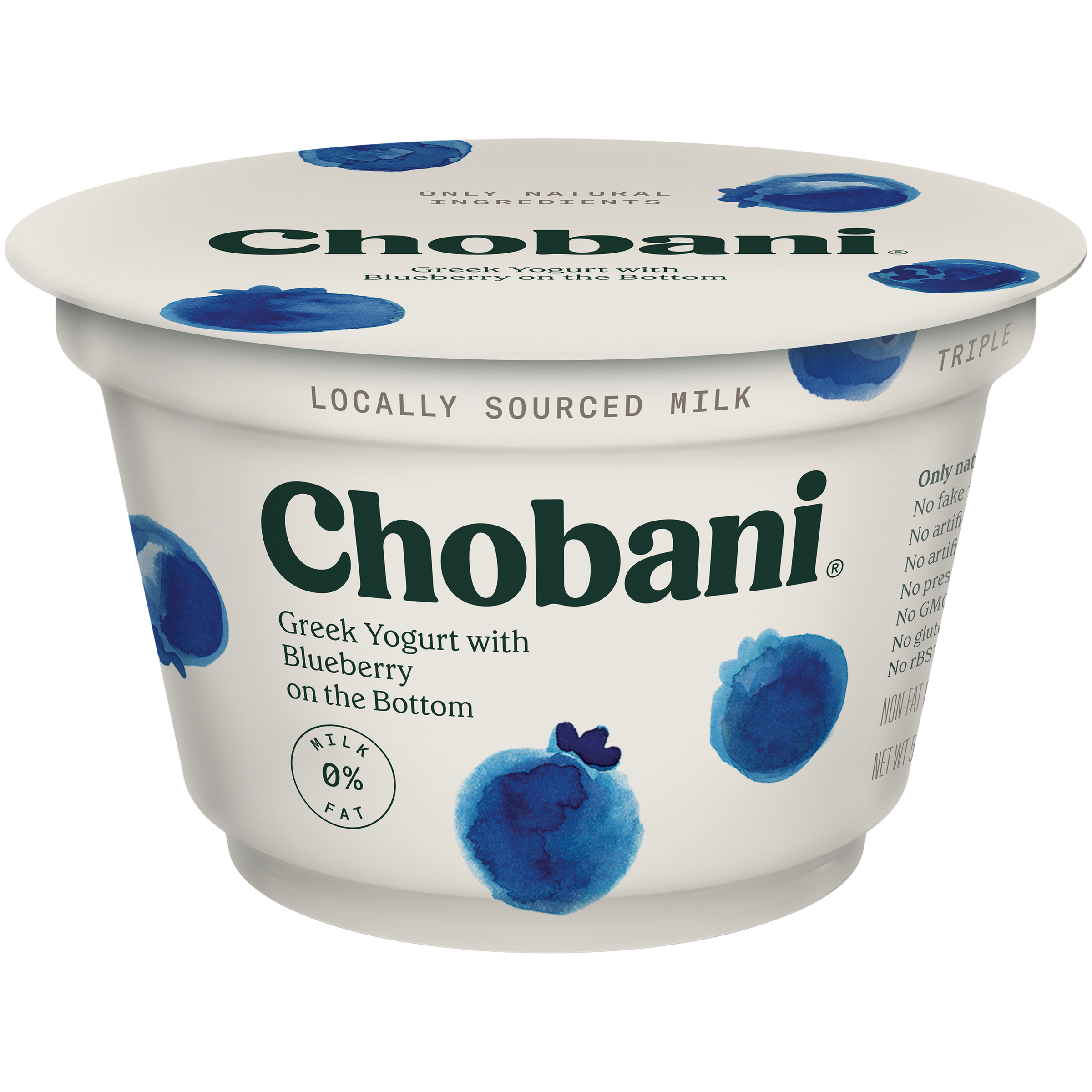 Chobani Yogurt, Greek, Non-Fat, Blueberry 6 oz (170 g)