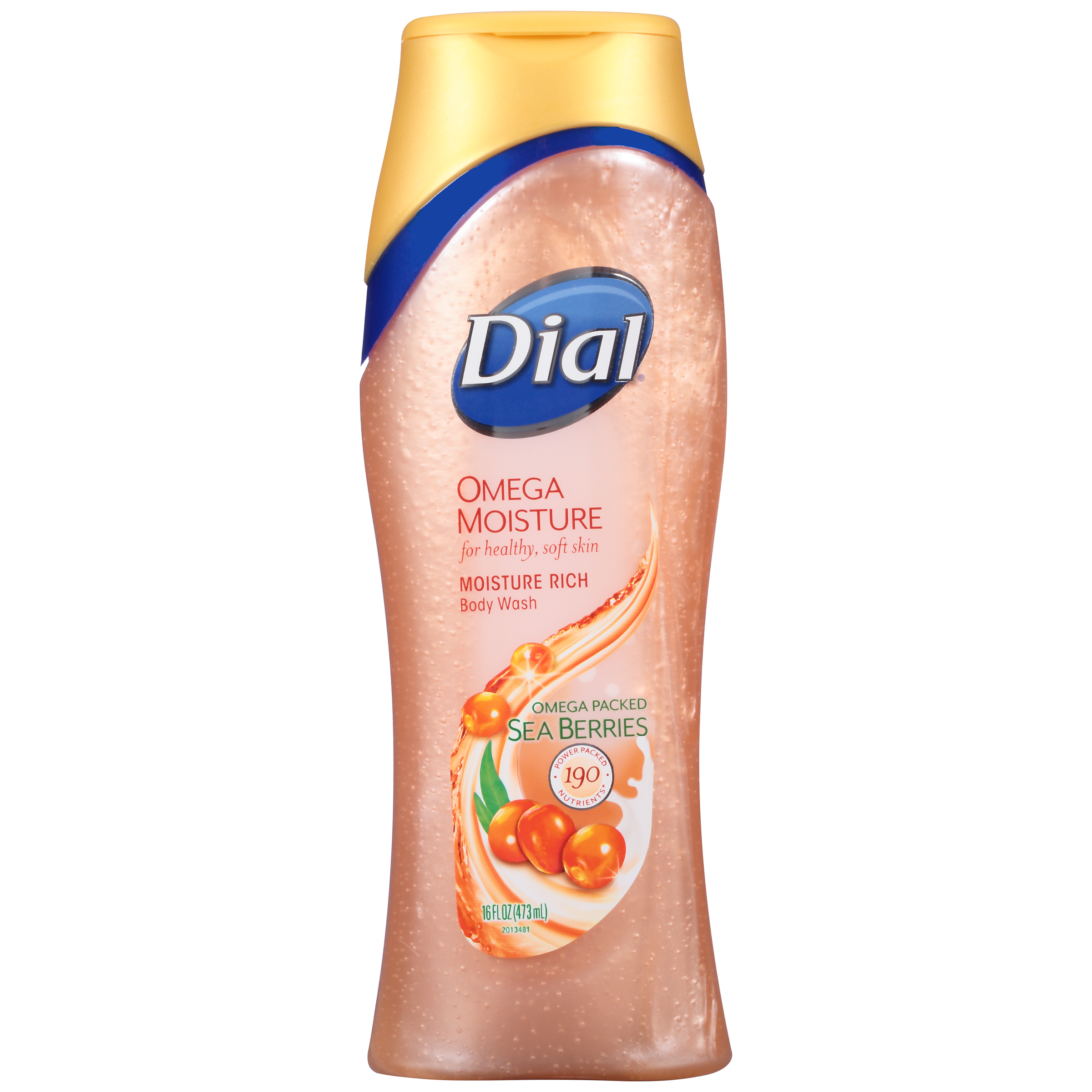 Dial &#174; Omega Moisture Moisturizing Body Wash 16 fl. oz. Bottle