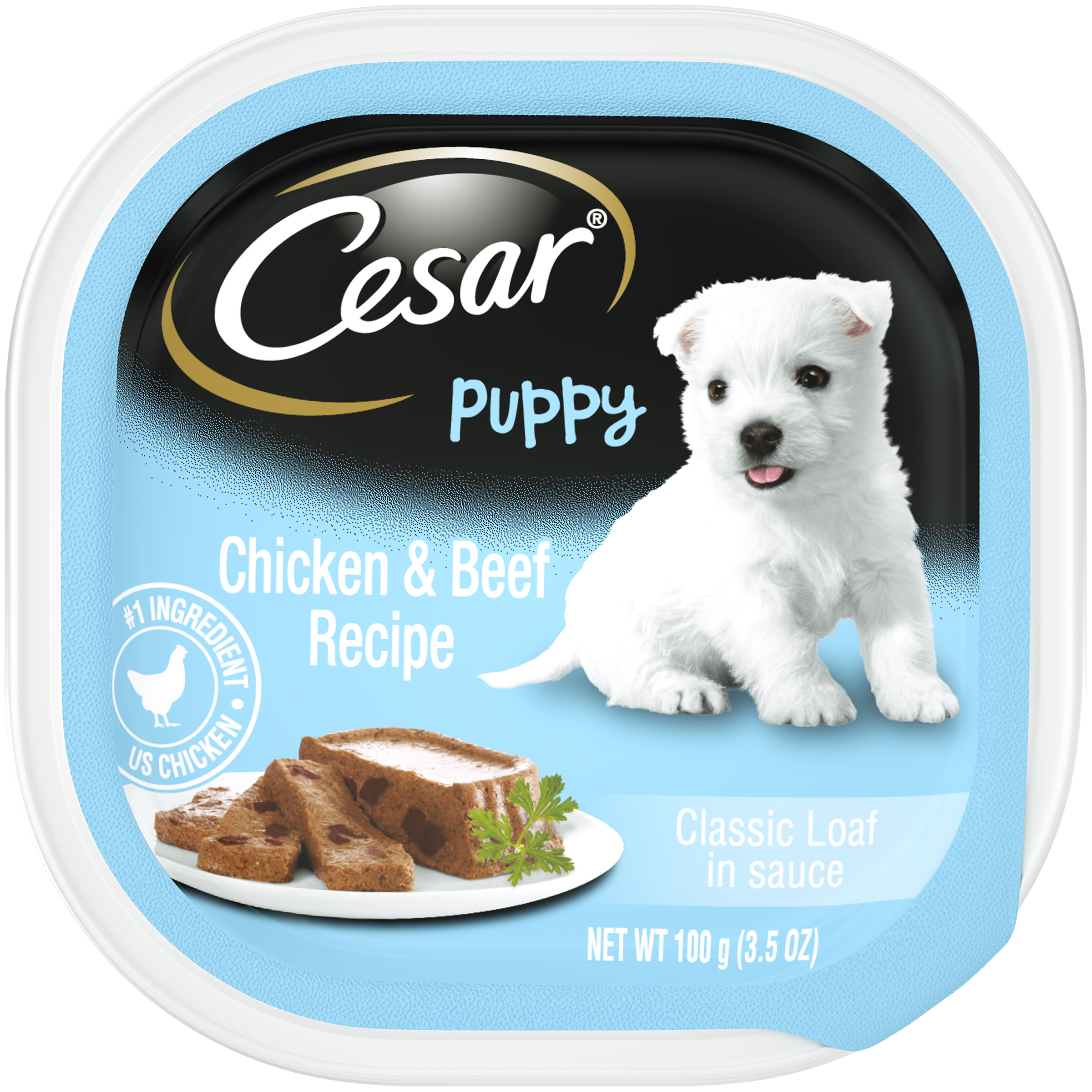 cesar hard dog food