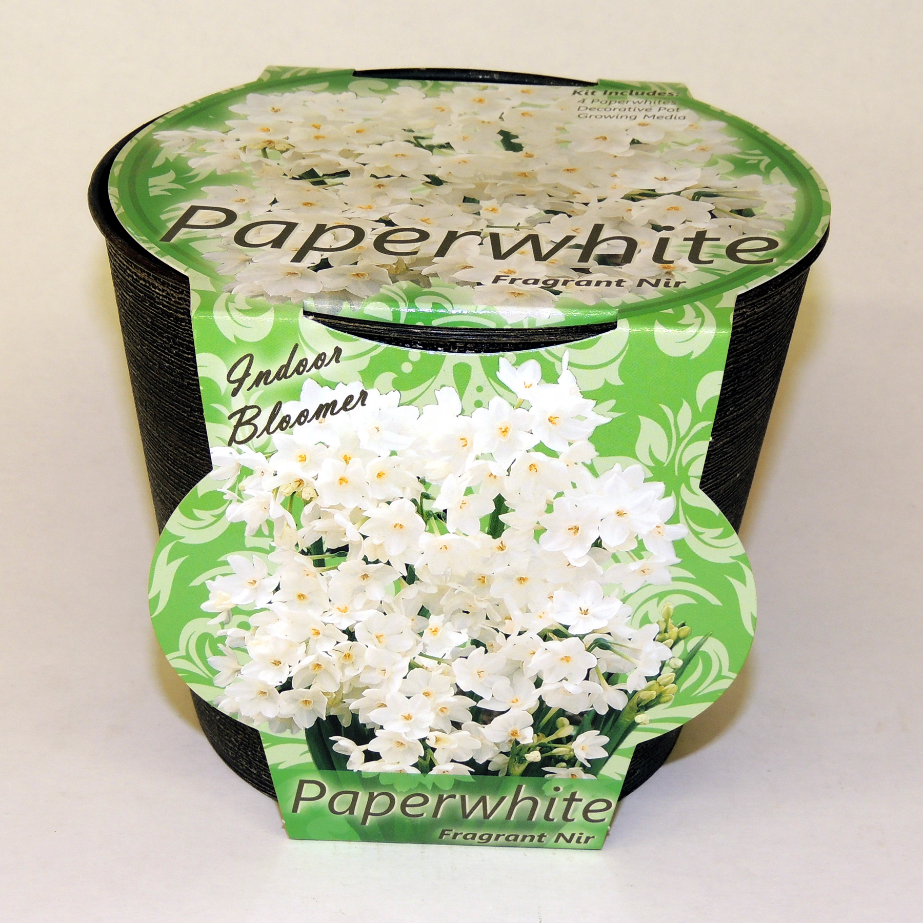 02852 4-Pack Paperwhite ‘Nir’ Bulbs 02852 4-Pack Paperwhite ‘Nir’ Bulbs