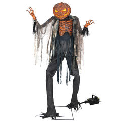 Morris Costumes Morris MR127030 Scorched Scarecrow Witch Fog