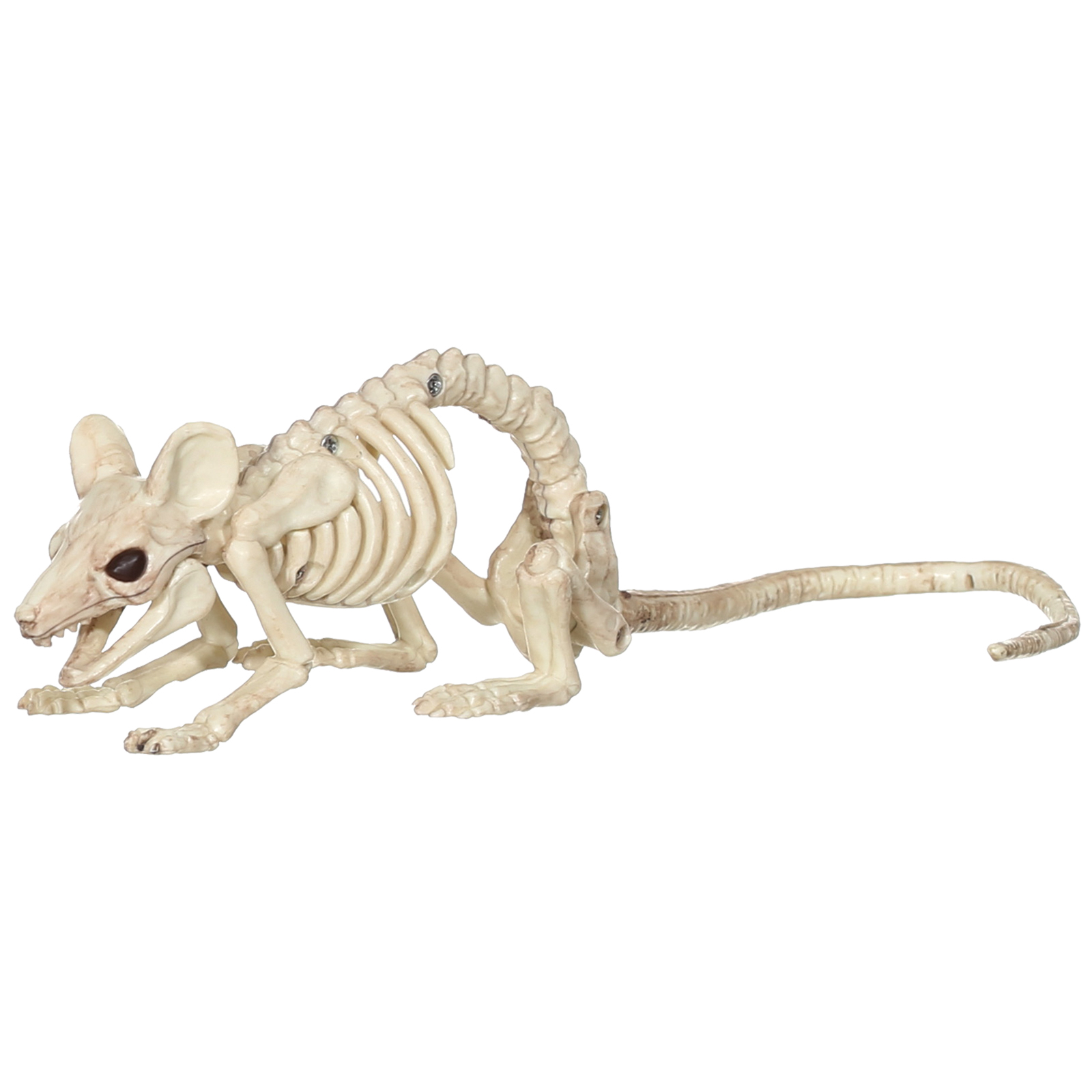 11" Crawling Mouse Skeleton