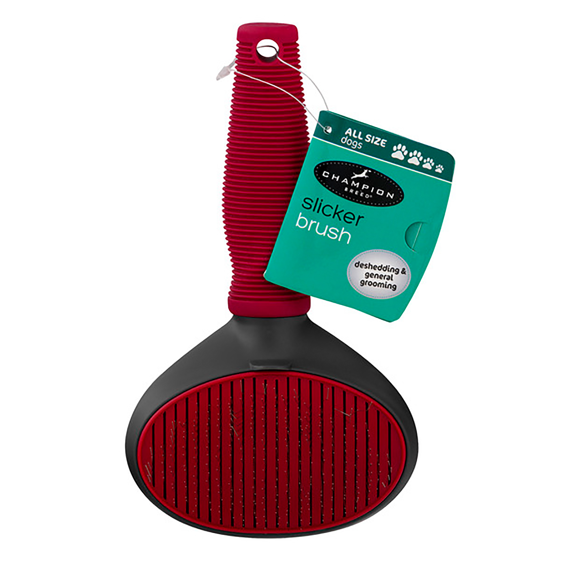 dog toothbrush kmart