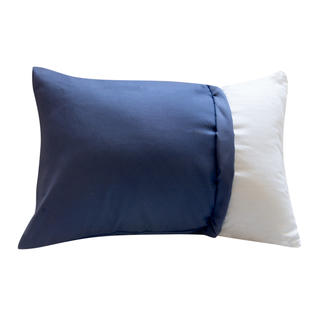 Springs Home Travel Pillow Cover