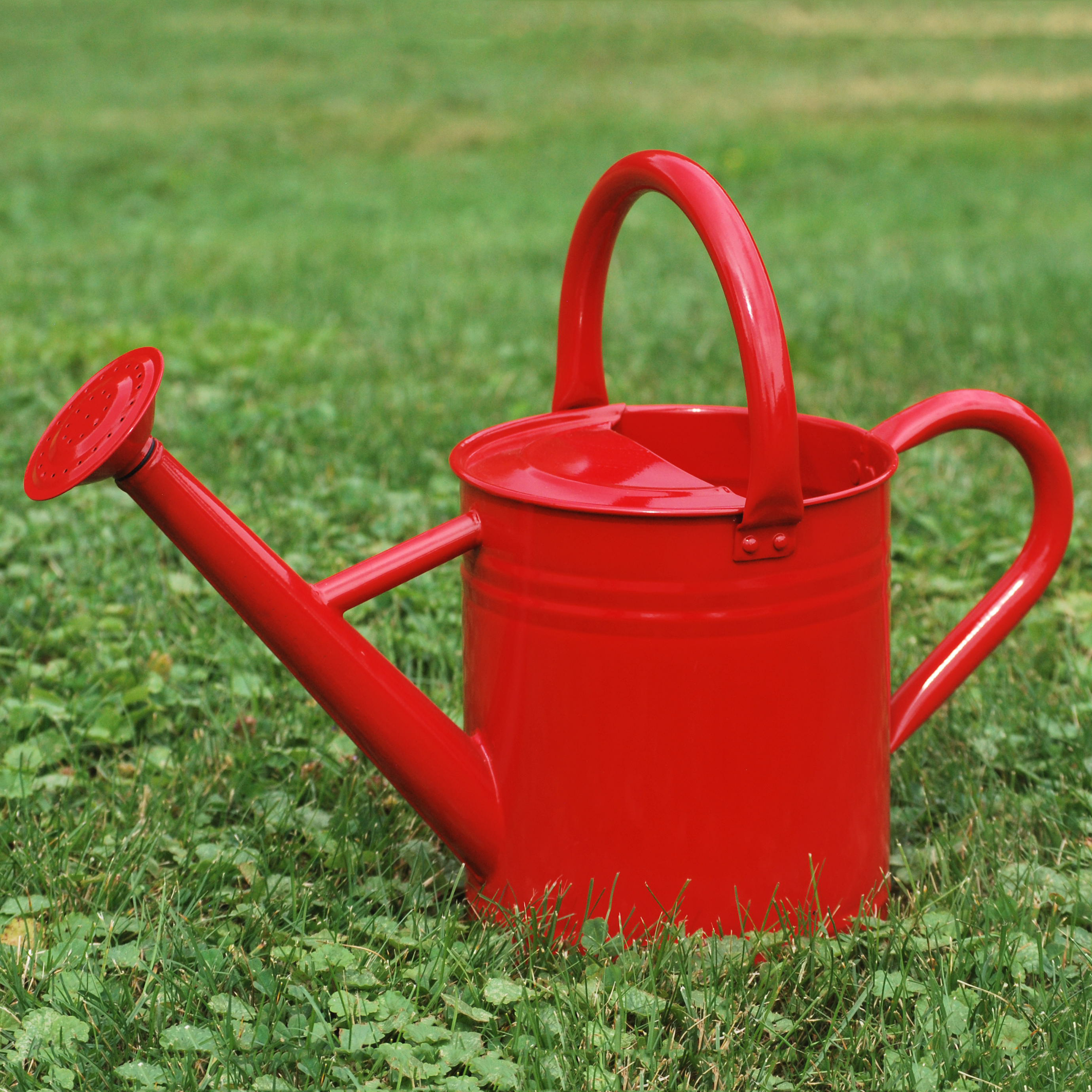 Gardener Select GSAW3005PPR 7-Liter Watering Can, Red