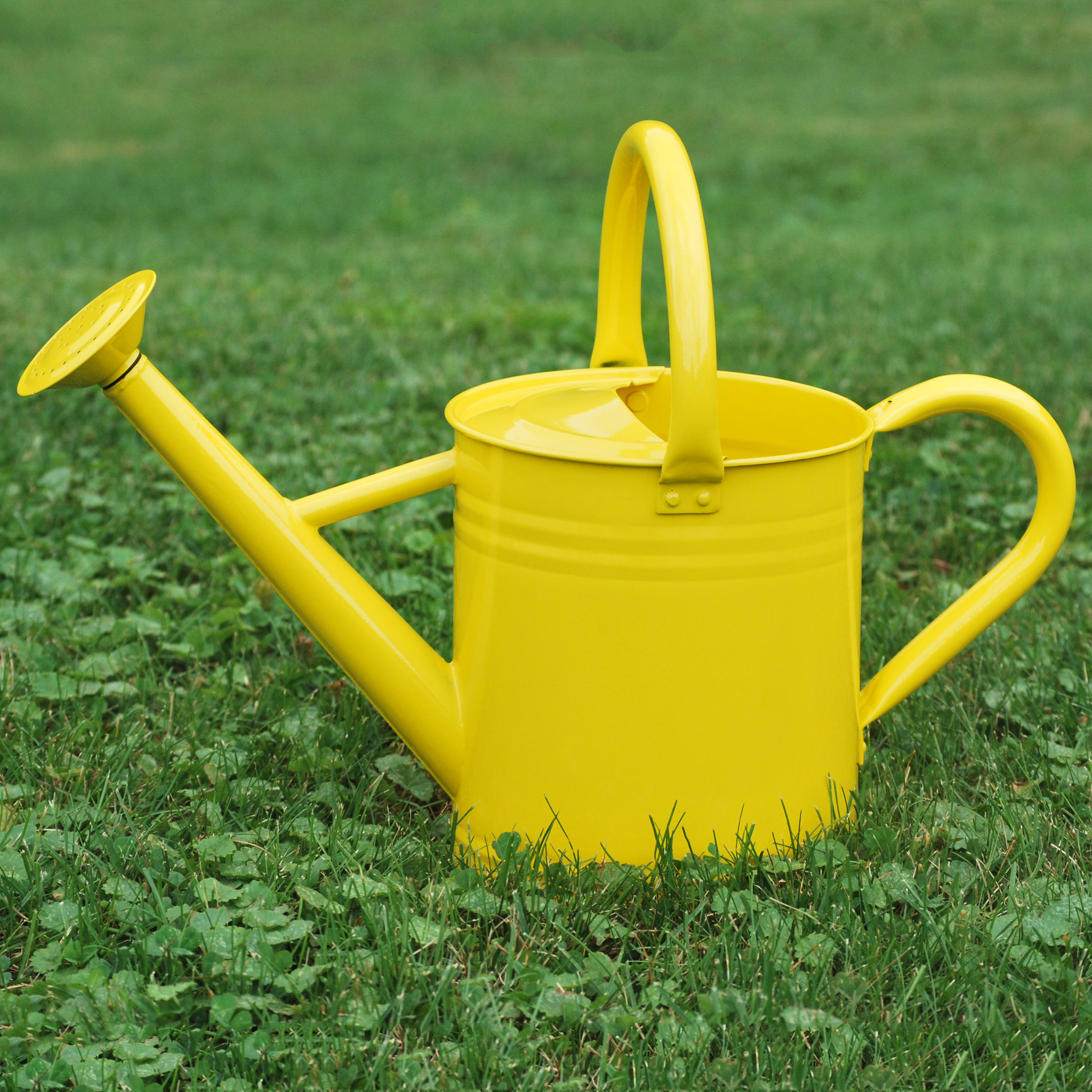 Gardener Select GSAW3003P6LZ 3.5-Liter Watering Can, Lemon Yellow