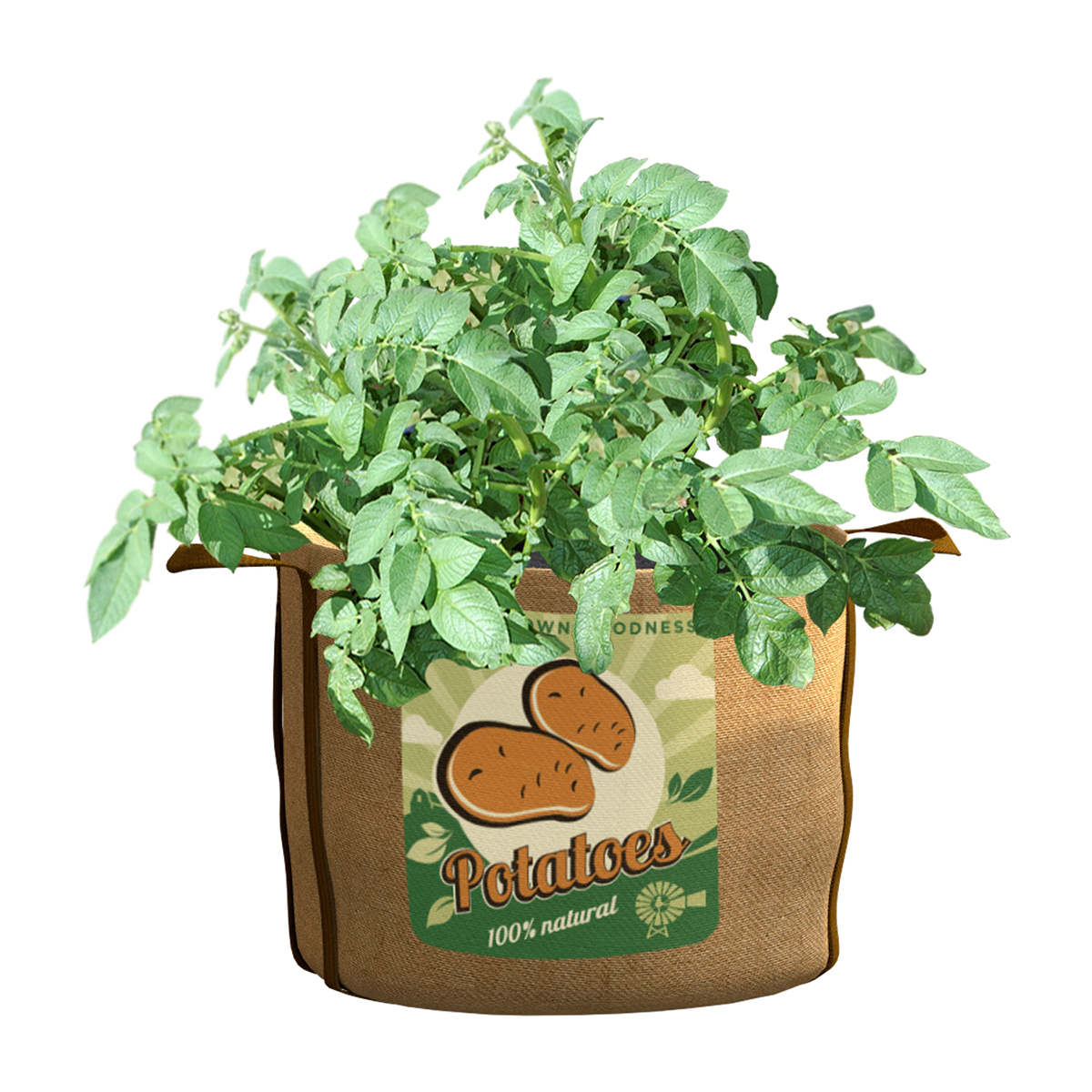 PAN84388 Panacea Potatoes Grow Bag, 30 Gallons