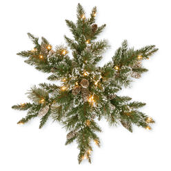National Tree Company National Tree 32 Inch Glittery Bristle Pine Wreath with 21 White Tipped Cones and 50 Warm White Battery Operated LED Lights