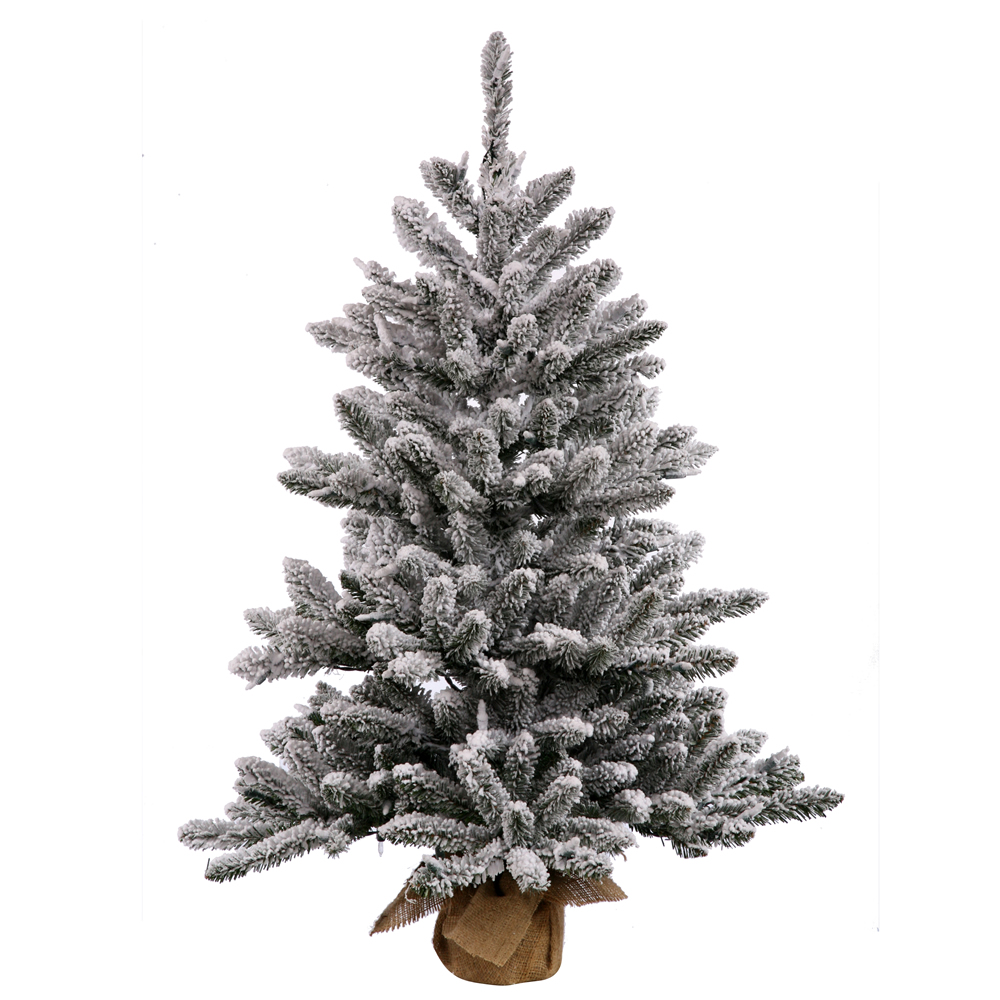 Trees Under 4 Ft Kmart