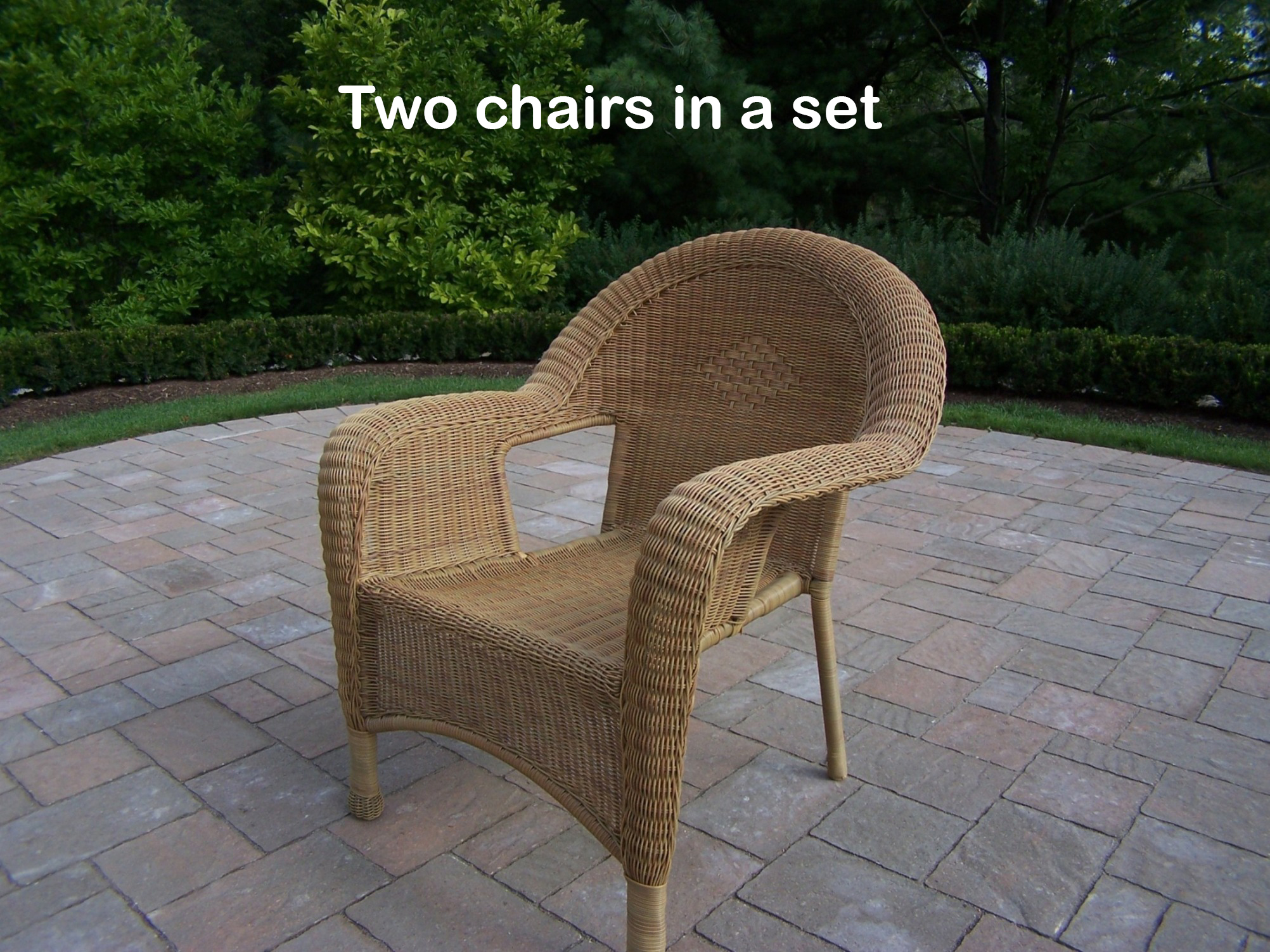Oakland Living Pair of Resin Wicker Arm Chairs (Pack of 2)