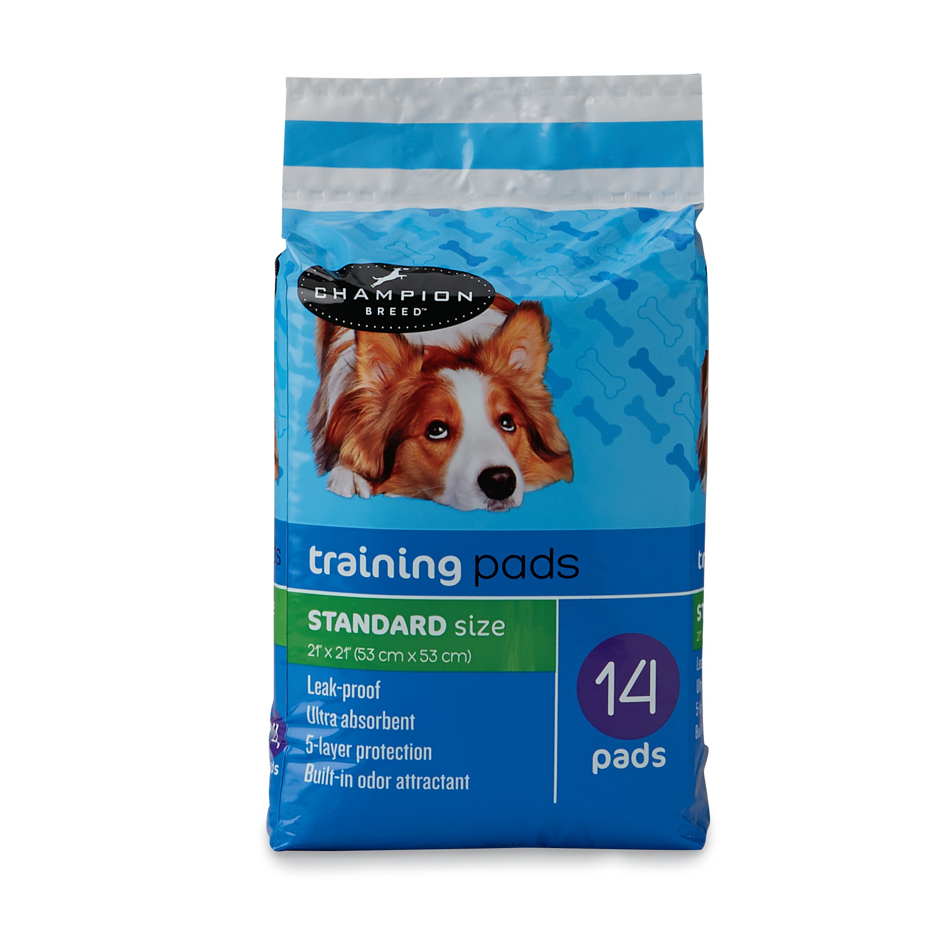 Training pads kmart Clearance