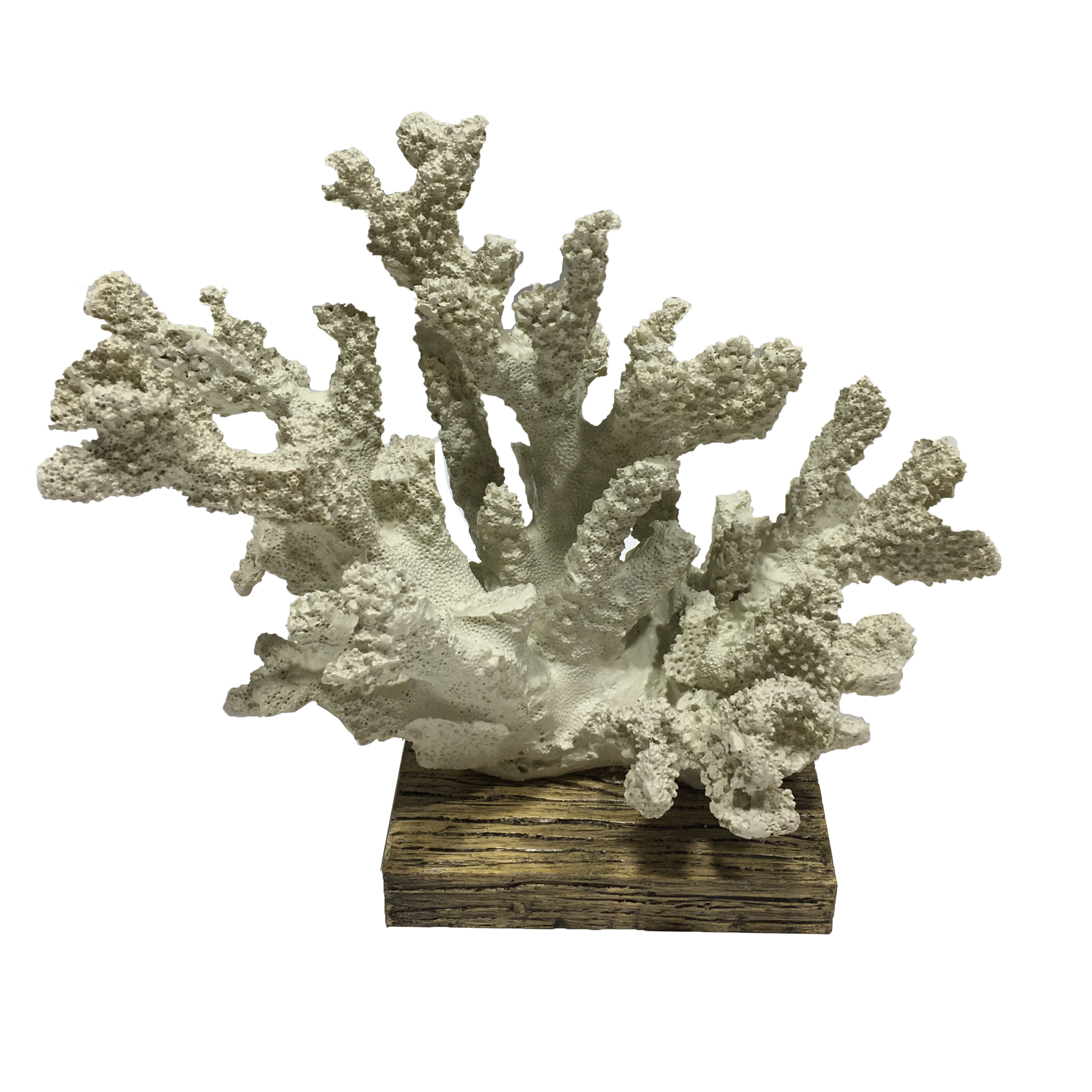 Sutton Rowe Resin Coral *Limited Availability