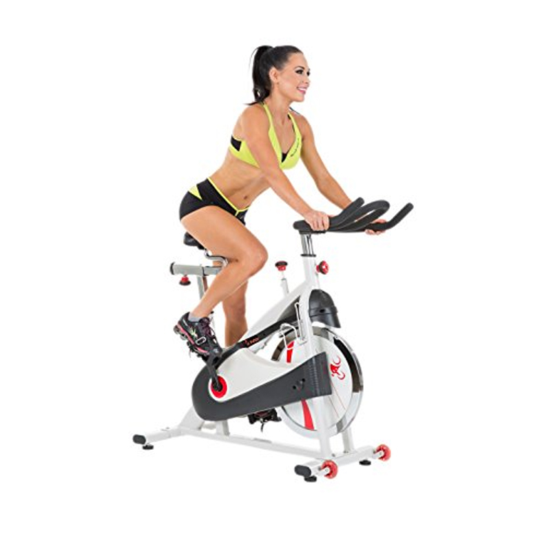 Vélo D'appartement Sunny Health & Fitness - Volant D'inertie 22kg - Siège Réglable - Poids Max 125kg