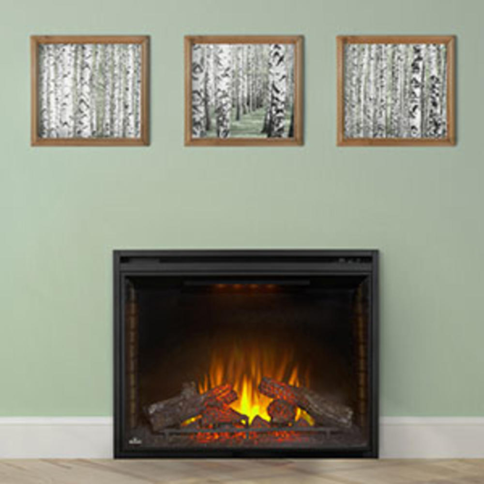 Napoleon Fireplaces Fireplaces Sears