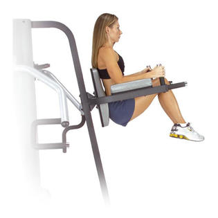 Body-Solid Vertical Knee Raise and Dip Station - Sears ...