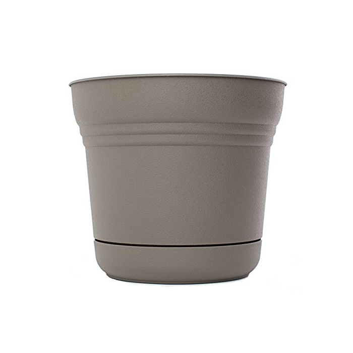 Bloem Living Bloem Plastic Pot Planter with Saucer