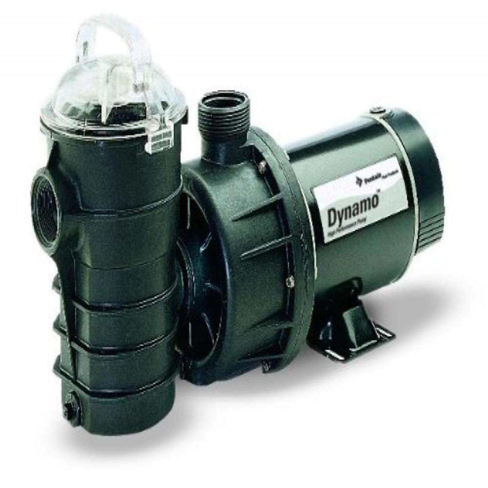 Pentair 340104 1HP Dynamo Pool Pump without Cord