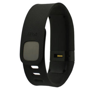 fitbit fb406bkl