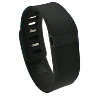 fitbit fb406bkl