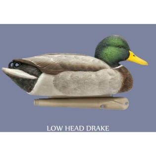 Avian X 6 Pc Open Water Mallard Decoy Set Sears Marketplace