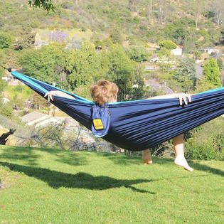 Wise 2024 owl hammocks