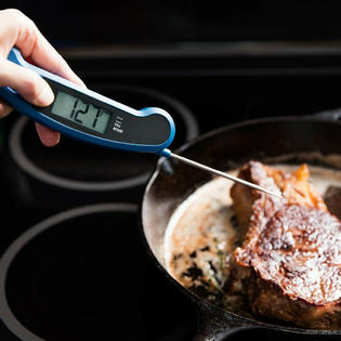 Lavatools Ambidextrous Digital Meat Thermometer - Sears Marketplace