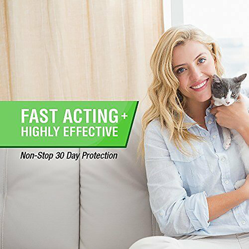Frontline Plus Flea and Tick Treatment for Cats