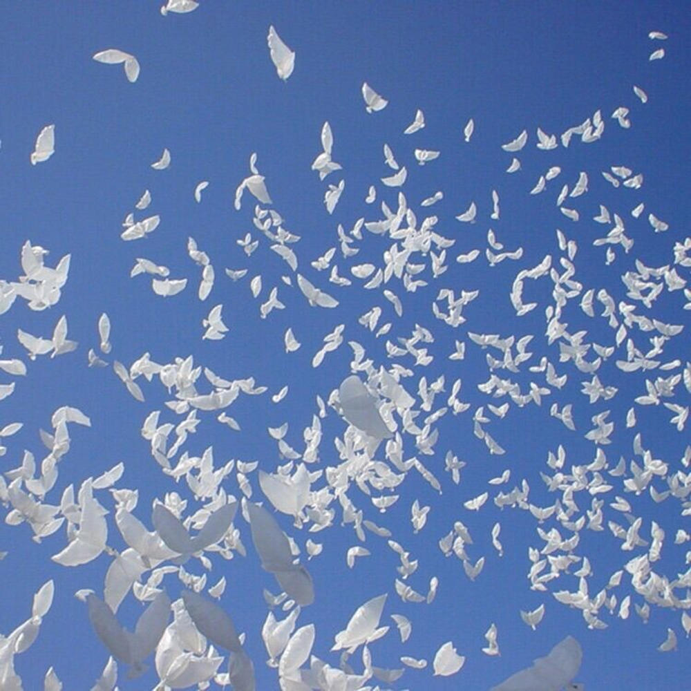 GOGO 12pc. Large Dove Balloons - White