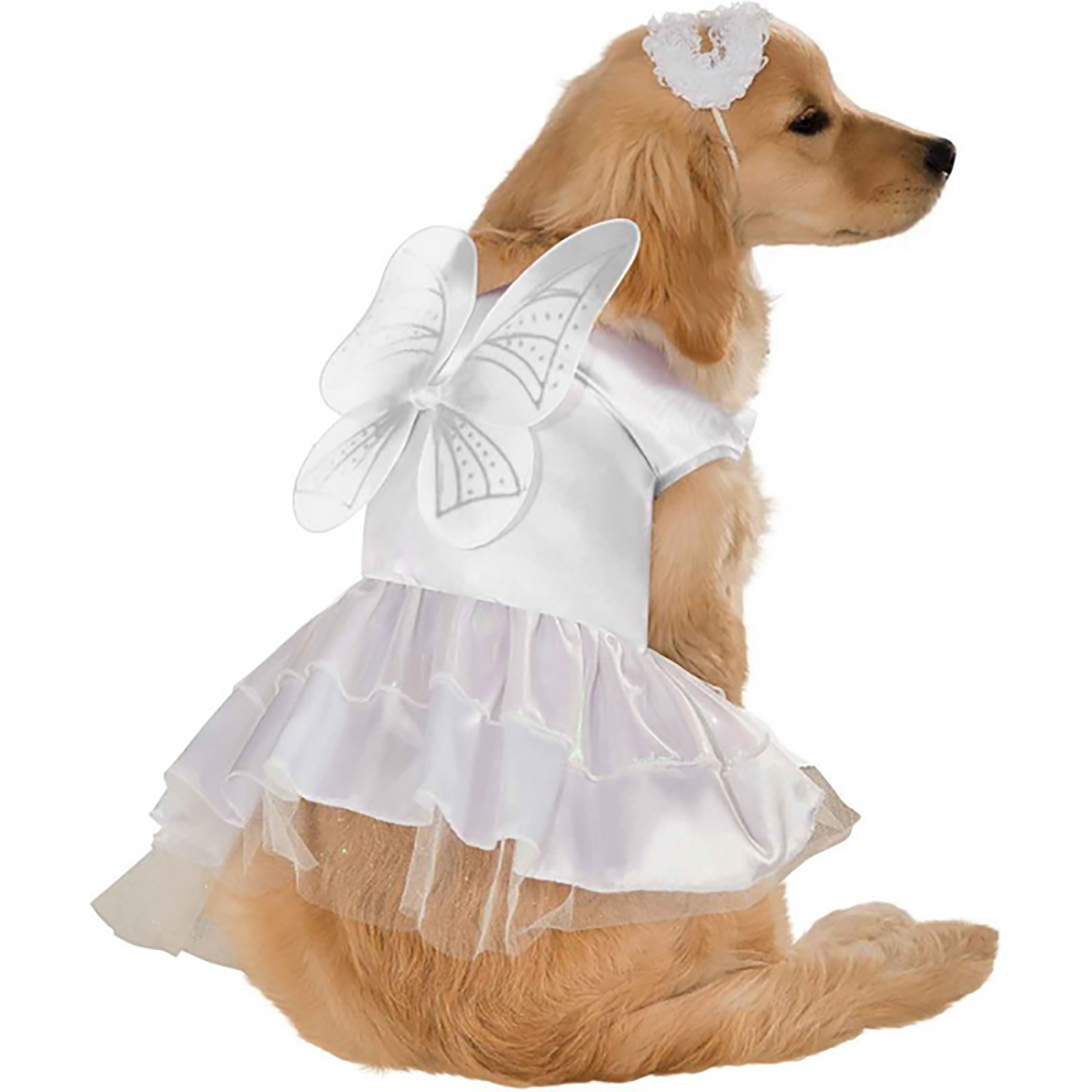 Pet angel. Платье для собак. Новогоднее платье для собак. Костюмы для собак маскарадные. Красивые костюмы для собак.