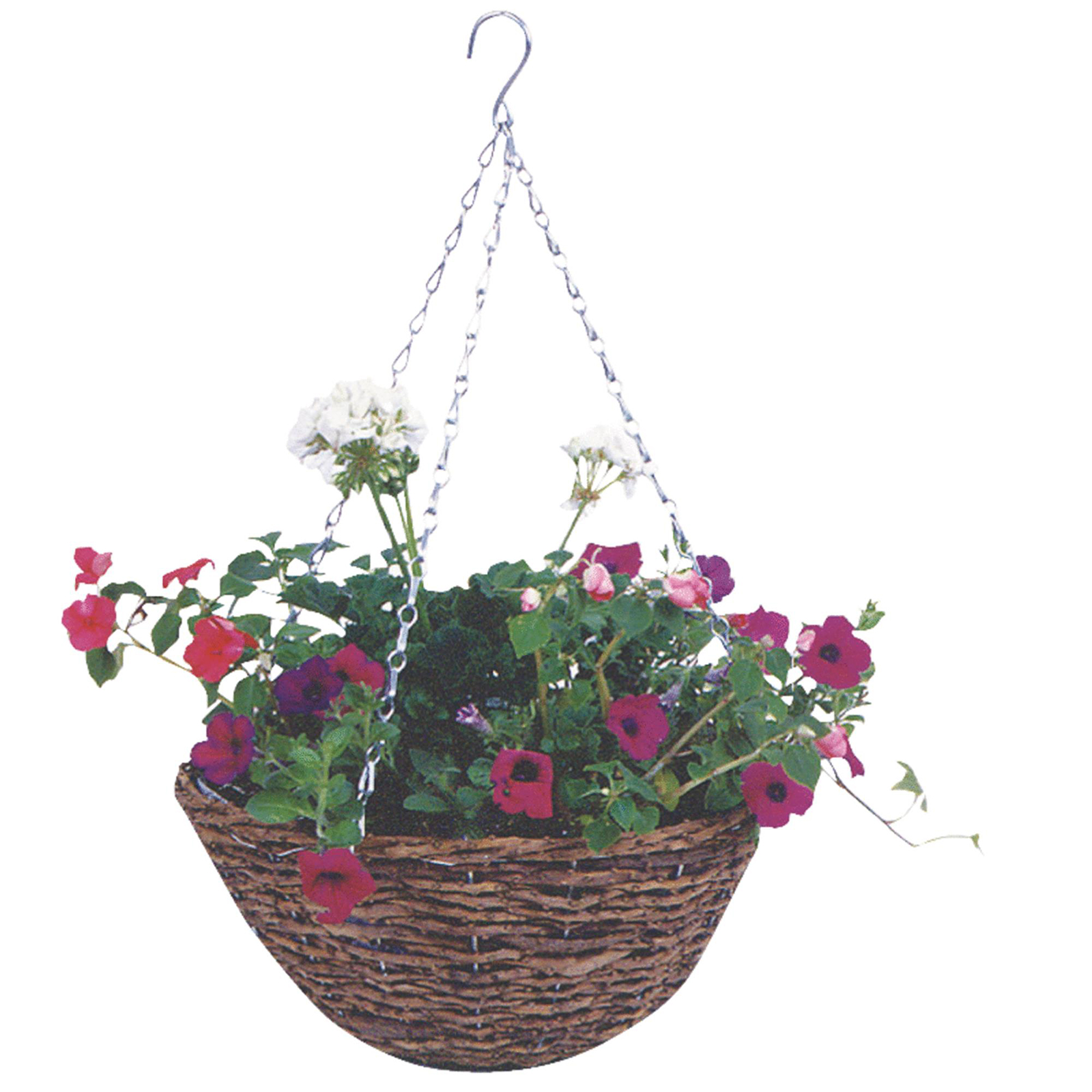 Gardman R450 14" Rattan Hanging Basket with Plastic Liner