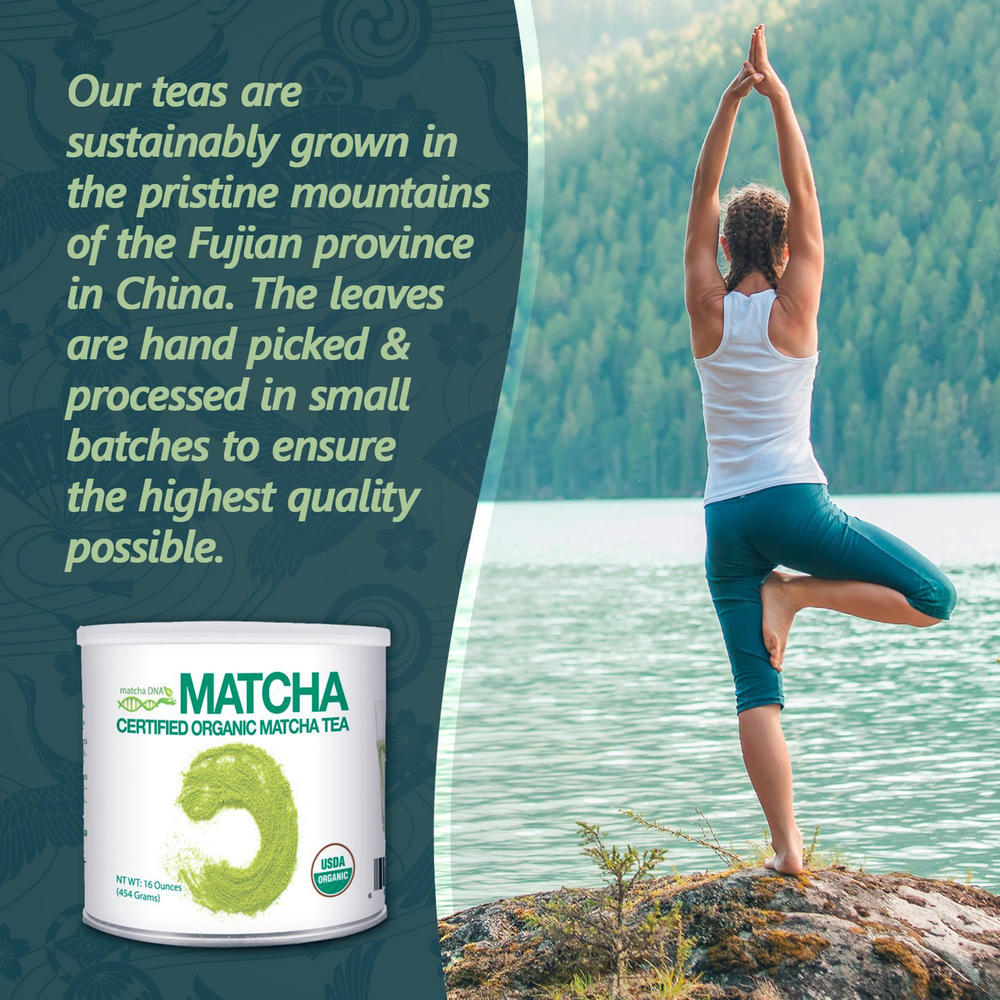 Matcha DNA 1lb Organic Matcha Green Tea Powder