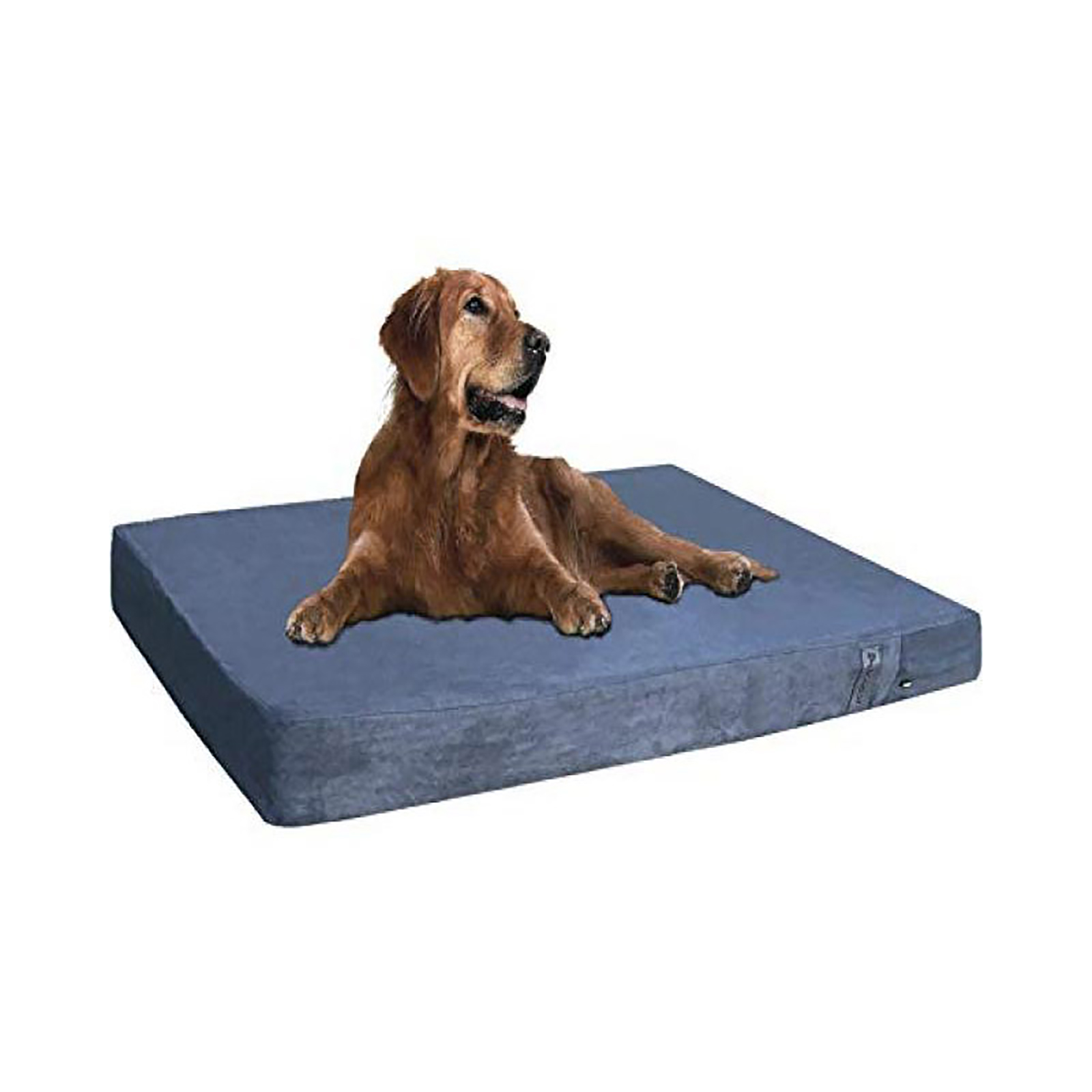 dogbed4less Orthopedic Memory Foam Dog Bed Gray & Brown