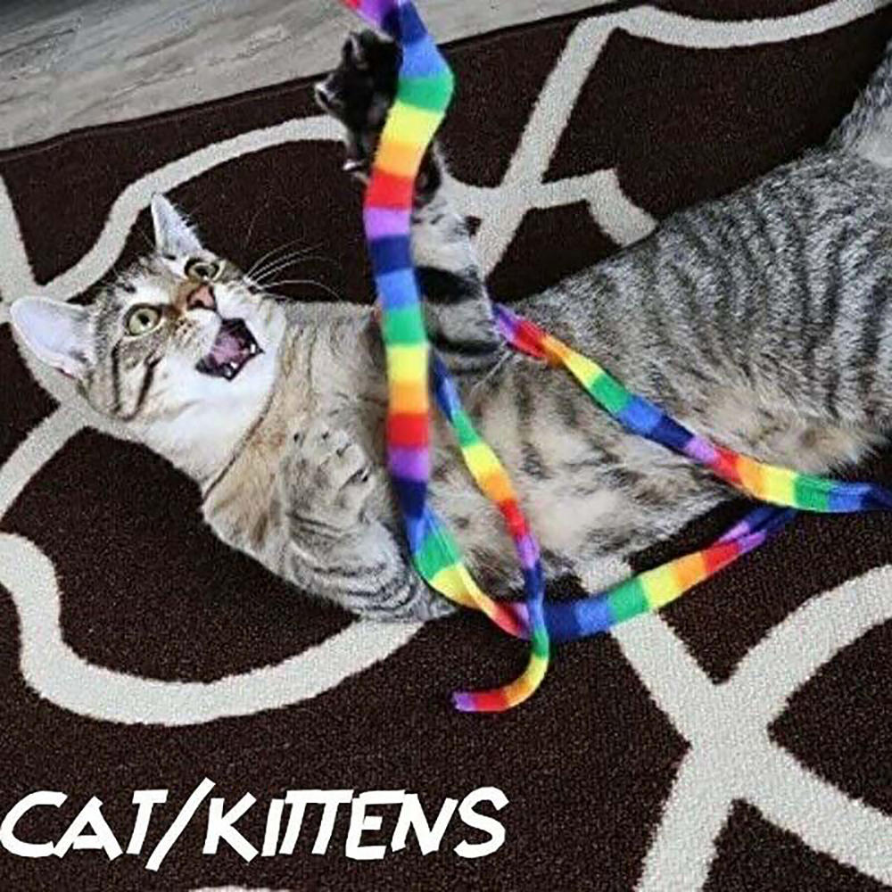 Cat Dancer Rainbow Cat Charmer