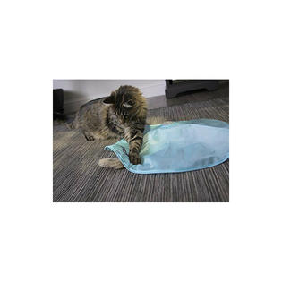 Concealed motion cat clearance toy