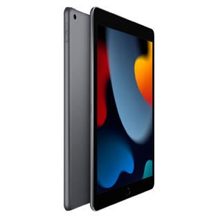 Apple 10.2-Inch 64GB IPad With Wi-Fi - Space Gray